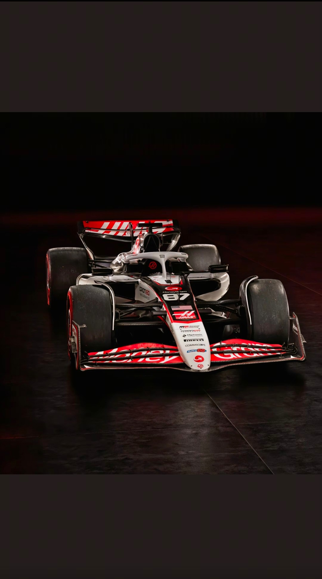 哈斯车队完胜梅赛德斯，维斯塔潘点燃赛场的简单介绍