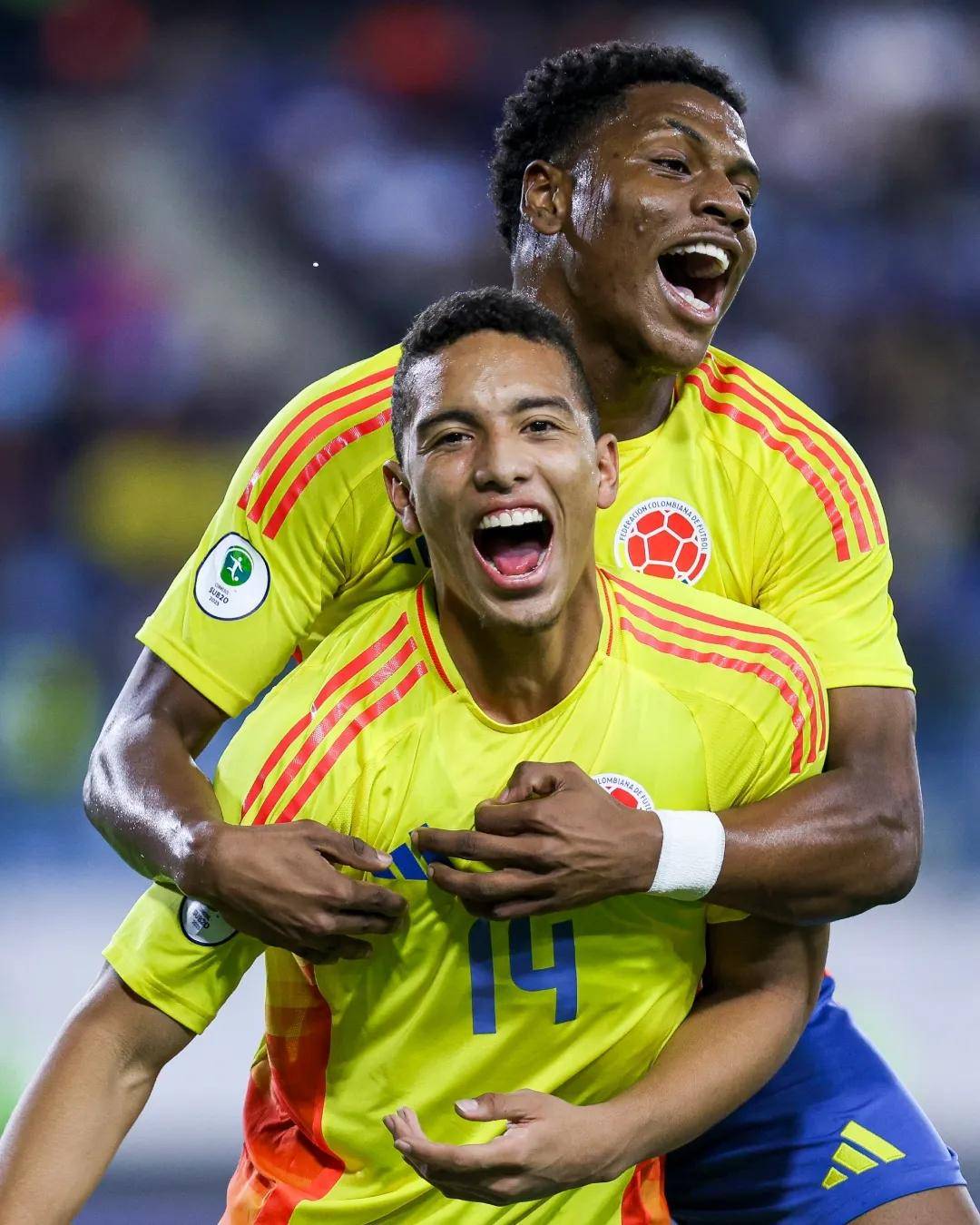 关于南美洲足球：阿根廷队成功晋级决赛的信息