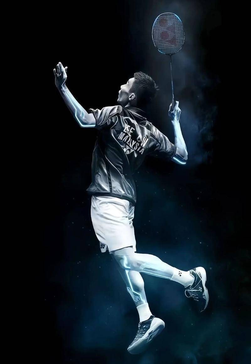 法国羽毛球队绝杀中国羽毛球队，李宗伟高光表现的简单介绍