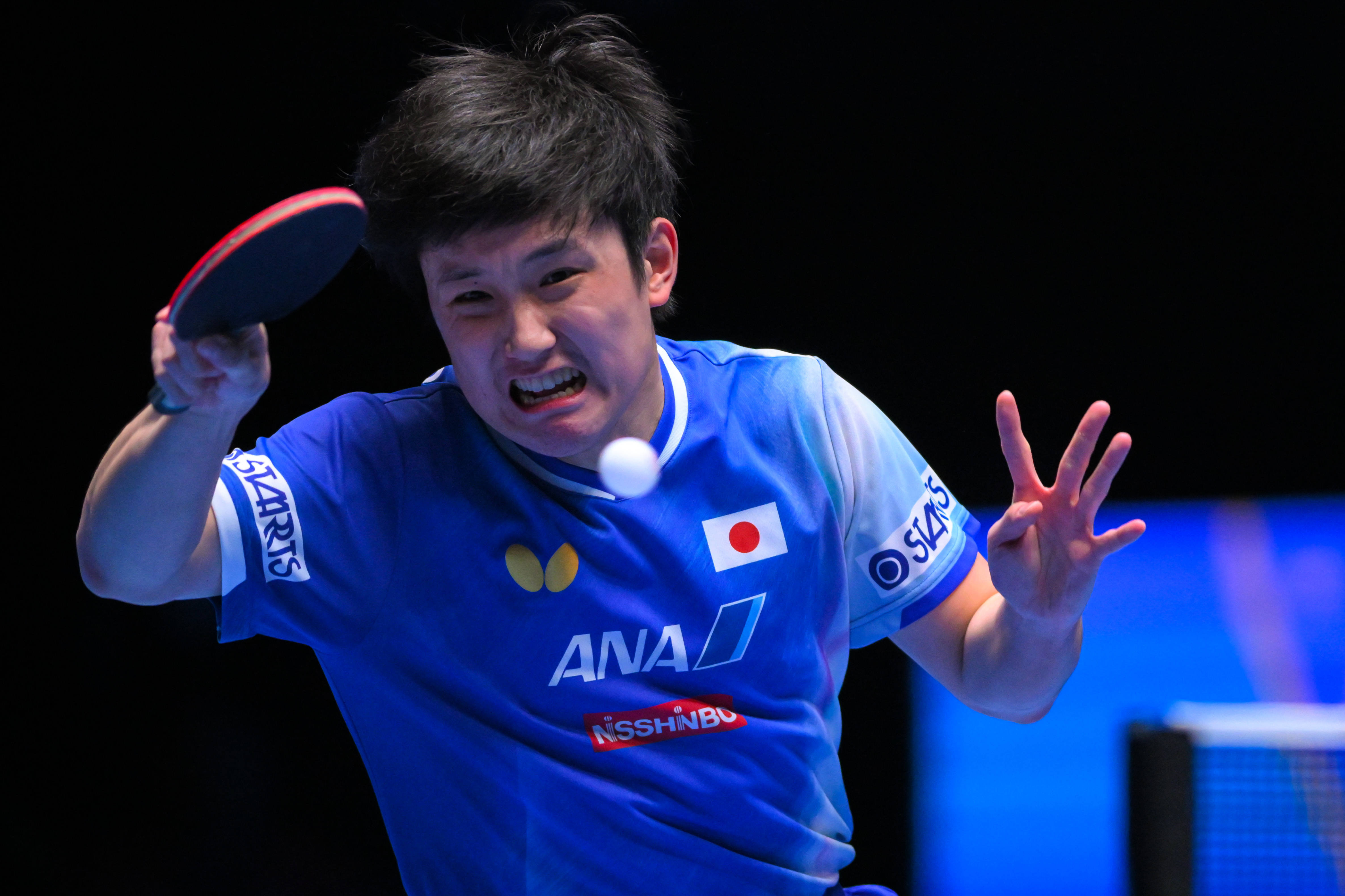 瑞典乒乓球队力克比利时乒乓球队,张本智和绝境逆转的简单介绍 瑞典乒乓球队力克比利时乒乓球队,张本智和绝境逆转的简单介绍