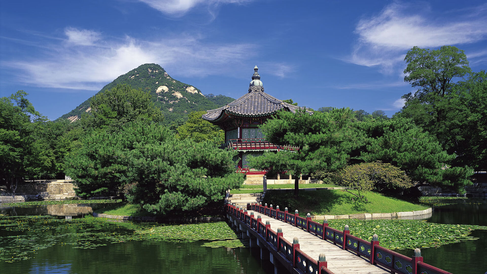 绿茵场外的赛道传奇，当墨西哥爆冷沙特，萨卡在F1年度争冠中接管比赛